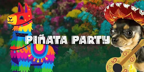 Piñata Party vs Walla Walla Sweets